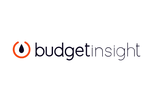 Budget Insight Logo