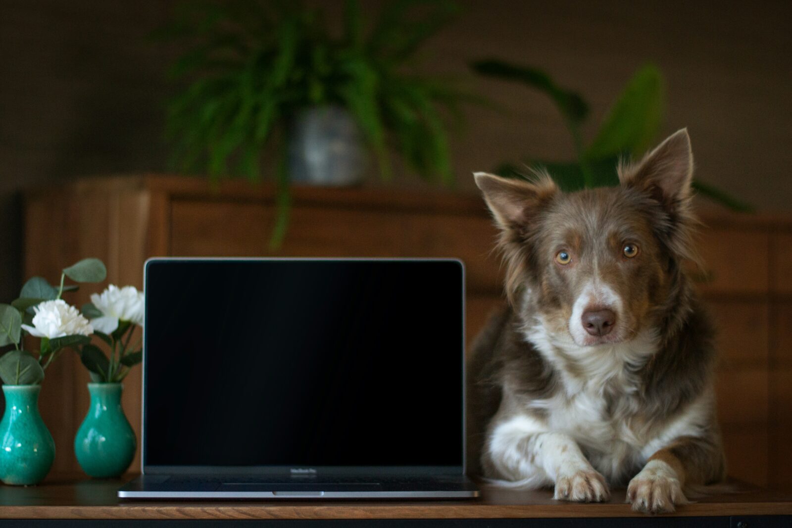 ayla-verschueren-kddsImNjIus-unsplash