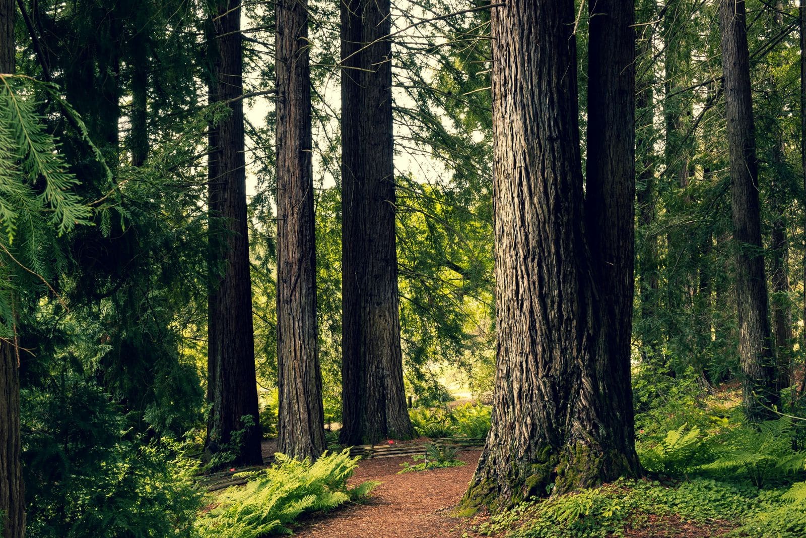 Ecommpay partners with ekko to embed sustainability into payments