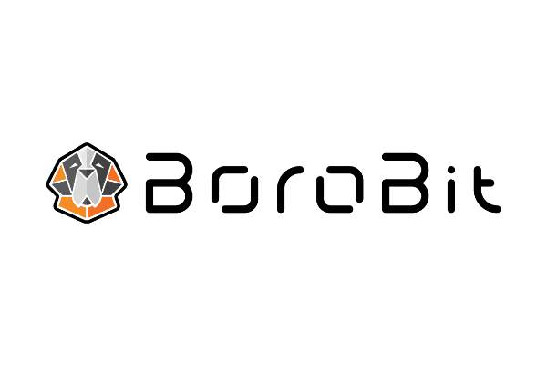 BoroBit logo BoroBit logo