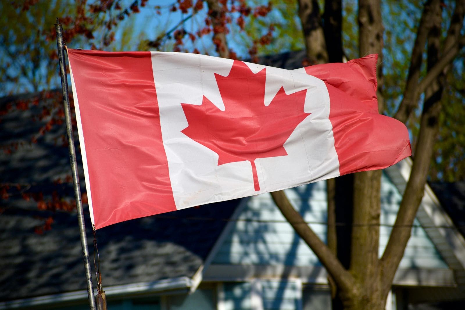 FDATA submits 2025 pre-budget proposal to Canadian Finance Committee FDATA submits 2025 pre-budget proposal to Canadian Finance Committee