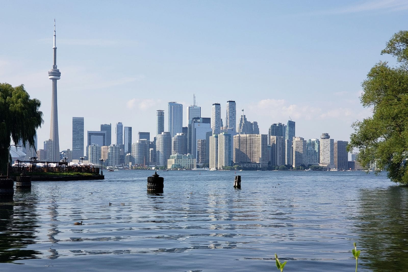 Scotiabank launches Canada’s first digital Nova Credit integration