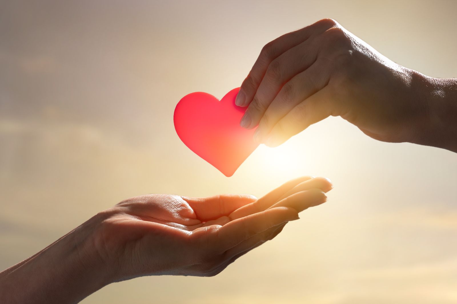 Brite Payments reports surge in donor conversion through Open Banking