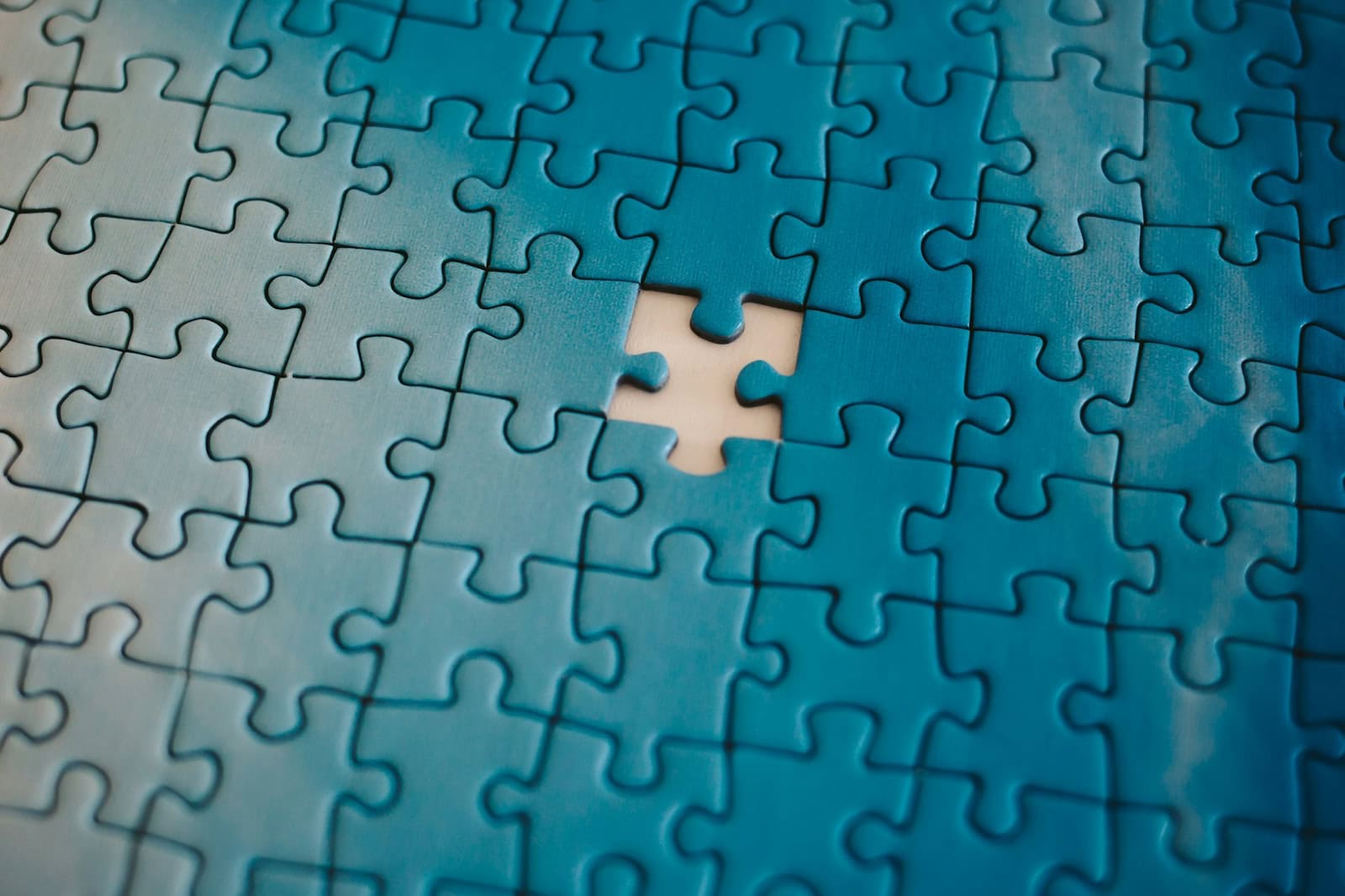 tanja-tepavac-cWMhxNmQVq0-unsplash